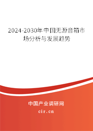 2024-2030年中國(guó)無源音箱市場(chǎng)分析與發(fā)展趨勢(shì)