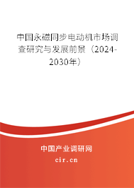 中國永磁同步電動(dòng)機(jī)市場調(diào)查研究與發(fā)展前景（2024-2030年）