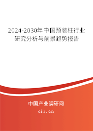 2024-2030年中國預(yù)裝柱行業(yè)研究分析與前景趨勢報告