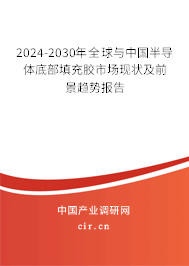 2024-2030年全球與中國(guó)半導(dǎo)體底部填充膠市場(chǎng)現(xiàn)狀及前景趨勢(shì)報(bào)告