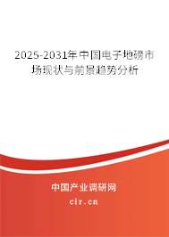 2025-2031年中國電子地磅市場(chǎng)現(xiàn)狀與前景趨勢(shì)分析