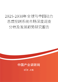 2025-2030年全球與中國動力總成控制系統(tǒng)市場深度調(diào)查分析及發(fā)展趨勢研究報告