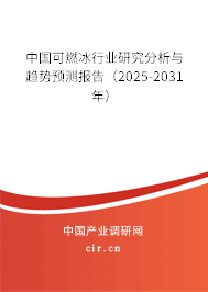 中國可燃冰行業(yè)研究分析與趨勢預測報告（2025-2031年）