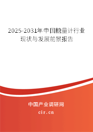 2025-2031年中國(guó)糖量計(jì)行業(yè)現(xiàn)狀與發(fā)展前景報(bào)告