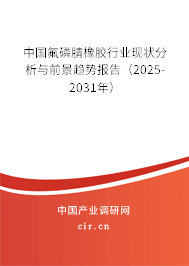 中國氟磷腈橡膠行業(yè)現(xiàn)狀分析與前景趨勢報(bào)告（2025-2031年）