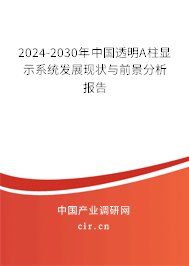 2024-2030年中國(guó)透明A柱顯示系統(tǒng)發(fā)展現(xiàn)狀與前景分析報(bào)告