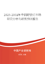 2025-2031年中國野營燈市場研究分析與趨勢預(yù)測報告