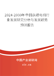 2024-2030年中國(guó)永磁電機(jī)行業(yè)發(fā)展研究分析與發(fā)展趨勢(shì)預(yù)測(cè)報(bào)告