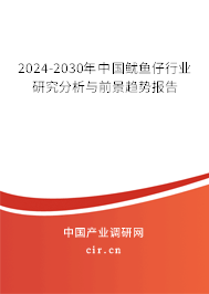 2024-2030年中國魷魚仔行業(yè)研究分析與前景趨勢報告