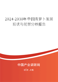 2024-2030年中國青蘿卜發(fā)展現(xiàn)狀與前景分析報告