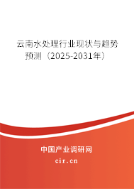 云南水處理行業(yè)現(xiàn)狀與趨勢預(yù)測（2024-2030年）