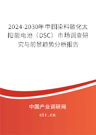 2024-2030年中國(guó)染料敏化太陽(yáng)能電池（DSC）市場(chǎng)調(diào)查研究與前景趨勢(shì)分析報(bào)告