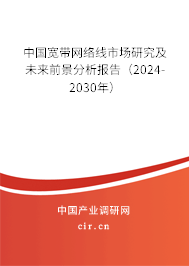 中國(guó)寬帶網(wǎng)絡(luò)線市場(chǎng)研究及未來(lái)前景分析報(bào)告（2024-2030年）