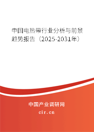 中國電熱帶行業(yè)分析與前景趨勢報告（2025-2031年）