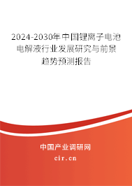 2024-2030年中國鋰離子電池電解液行業(yè)發(fā)展研究與前景趨勢預(yù)測報(bào)告