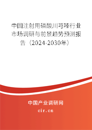 中國注射用磷酸川芎嗪行業(yè)市場調(diào)研與前景趨勢預測報告（2024-2030年）