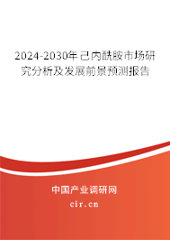 2024-2030年己內酰胺市場研究分析及發(fā)展前景預測報告