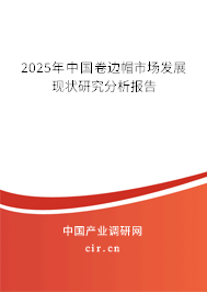 2025年中國卷邊帽市場發(fā)展現(xiàn)狀研究分析報告