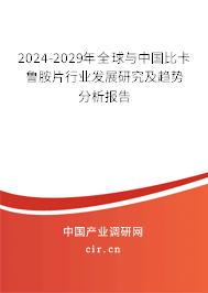 2024-2029年全球與中國比卡魯胺片行業(yè)發(fā)展研究及趨勢分析報告