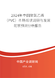 2024年中國聚氯乙烯（PVC）市場現(xiàn)狀調(diào)研與發(fā)展前景預(yù)測分析報告