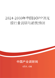 2024-2030年中國BOPP消光膜行業(yè)調研與趨勢預測