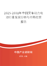 2025-2031年中國(guó)叉車動(dòng)力電池行業(yè)發(fā)展分析與市場(chǎng)前景報(bào)告