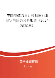 中國(guó)電磁流量計(jì)轉(zhuǎn)換器行業(yè)現(xiàn)狀與趨勢(shì)分析報(bào)告（2024-2030年）