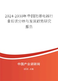 2024-2030年中國防爆電器行業(yè)現(xiàn)狀分析與發(fā)展趨勢研究報告