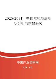 2024-2030年中國喉鏡發(fā)展現(xiàn)狀分析與前景趨勢