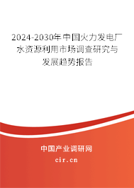 2024-2030年中國(guó)火力發(fā)電廠水資源利用市場(chǎng)調(diào)查研究與發(fā)展趨勢(shì)報(bào)告