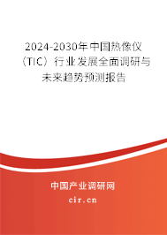 2024-2030年中國熱像儀（TIC）行業(yè)發(fā)展全面調(diào)研與未來趨勢預(yù)測報告