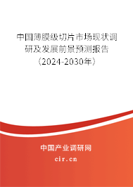 中國(guó)薄膜級(jí)切片市場(chǎng)現(xiàn)狀調(diào)研及發(fā)展前景預(yù)測(cè)報(bào)告（2024-2030年）