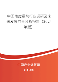 中國角度量塊行業(yè)調(diào)研及未來發(fā)展前景分析報告（2024年版）