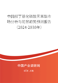 中國叔丁基化磷酸三苯酯市場分析與前景趨勢預(yù)測報(bào)告（2024-2030年）