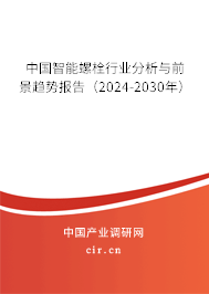 中國智能螺栓行業(yè)分析與前景趨勢報(bào)告（2024-2030年）