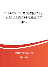 2024-2030年中國磁性積木行業(yè)現(xiàn)狀全面調(diào)研與發(fā)展趨勢(shì)報(bào)告