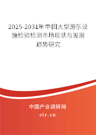 2024-2030年中國大型游樂設(shè)施檢驗(yàn)檢測市場現(xiàn)狀與發(fā)展趨勢研究