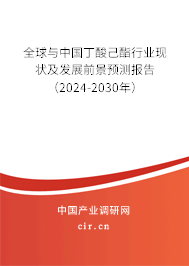 全球與中國(guó)丁酸己酯行業(yè)現(xiàn)狀及發(fā)展前景預(yù)測(cè)報(bào)告（2024-2030年）