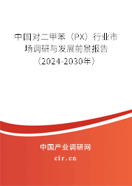 中國對二甲苯（PX）行業(yè)市場調(diào)研與發(fā)展前景報告（2024-2030年）