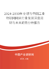 2024-2030年全球與中國(guó)工業(yè)物聯(lián)網(wǎng)網(wǎng)關(guān)行業(yè)發(fā)展深度調(diào)研與未來(lái)趨勢(shì)分析報(bào)告