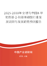 2025-2030年全球與中國4-甲氧羰基-2-硝基苯硼酸行業(yè)發(fā)展調(diào)研與發(fā)展趨勢預測報告