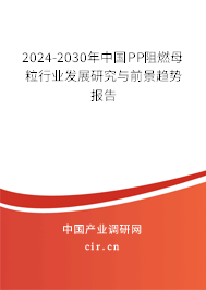 2024-2030年中國PP阻燃母粒行業(yè)發(fā)展研究與前景趨勢報(bào)告