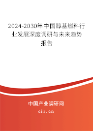 2024-2030年中國醇基燃料行業(yè)發(fā)展深度調(diào)研與未來趨勢報告