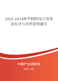 2025-2031年中國(guó)放電燈管發(fā)展現(xiàn)狀與前景趨勢(shì)報(bào)告