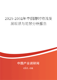 2025-2031年中國(guó)即時(shí)物流發(fā)展現(xiàn)狀與前景分析報(bào)告