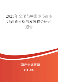 2025年全球與中國(guó)小馬達(dá)市場(chǎng)調(diào)查分析與發(fā)展趨勢(shì)研究報(bào)告