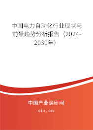 中國電力自動化行業(yè)現(xiàn)狀與前景趨勢分析報告（2024-2030年）