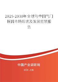 2025-2030年全球與中國氣門搖臂市場現(xiàn)狀及發(fā)展前景報告