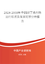 2024-2030年中國(guó)異丁烯市場(chǎng)運(yùn)行現(xiàn)狀及發(fā)展前景分析報(bào)告