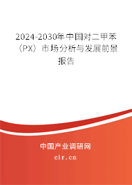 2024-2030年中國對二甲苯（PX）市場分析與發(fā)展前景報告